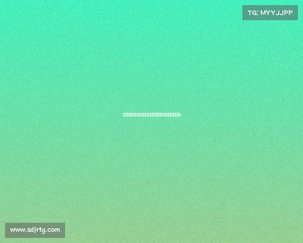 德甲夏季转会窗口分析各队引援策略与阵容调整动态