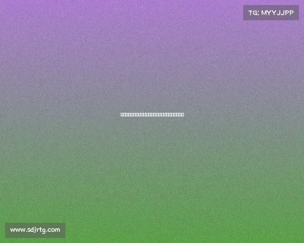 达姆施塔特足球俱乐部崛起之路与德甲联赛未来展望分析