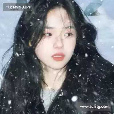 蓬盈晓